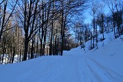 30 Nella ombrosa innevata faggeta